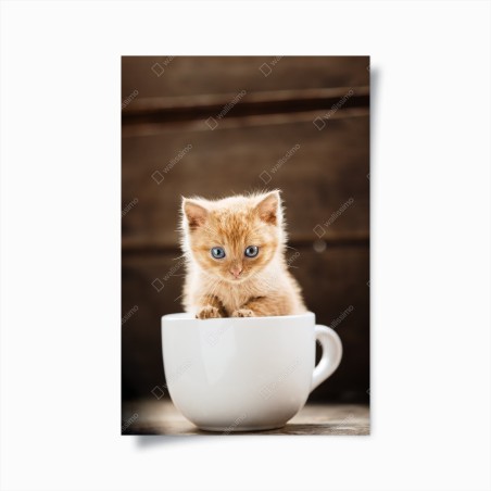 Poster ginger kitten in a teacup • Wallissimo®