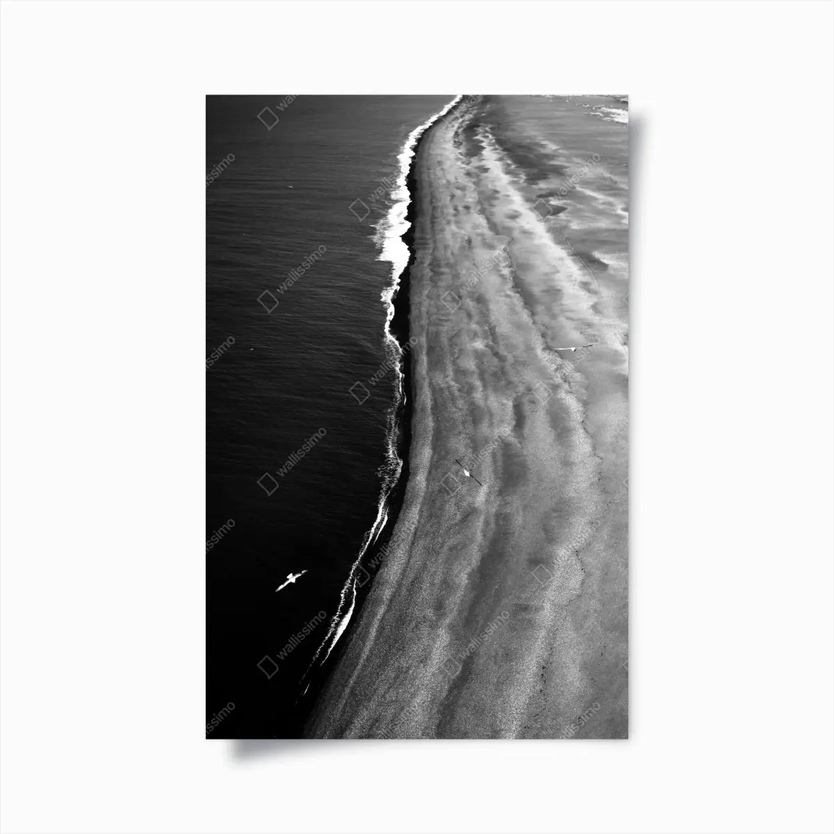 Poster aerial monochrome beach coastline • Wallissimo® Poster aerial monochrome beach coastline • Wallissimo®