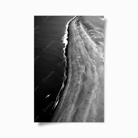 Poster aerial monochrome beach coastline • Wallissimo®