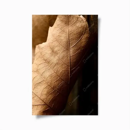 Poster textured dried leaf close-up • Wallissimo®
