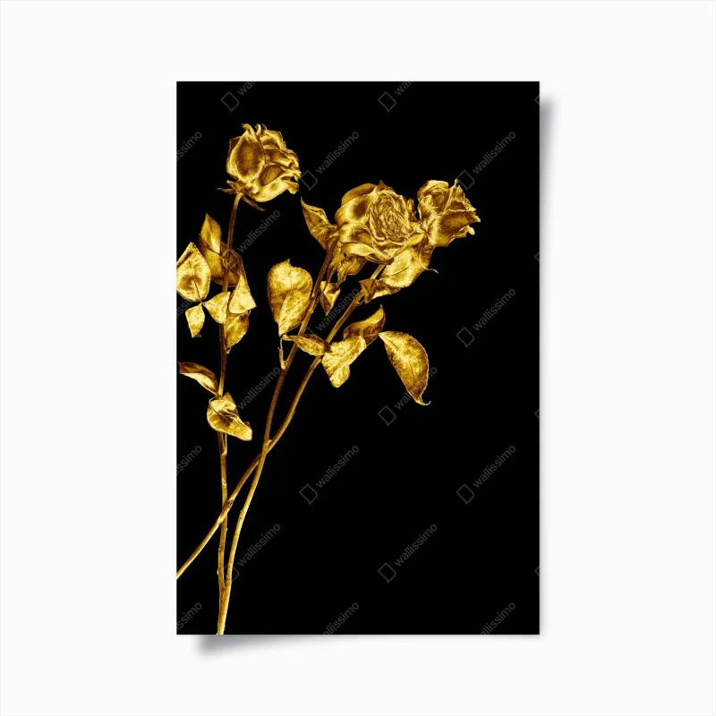 Poster golden roses on black