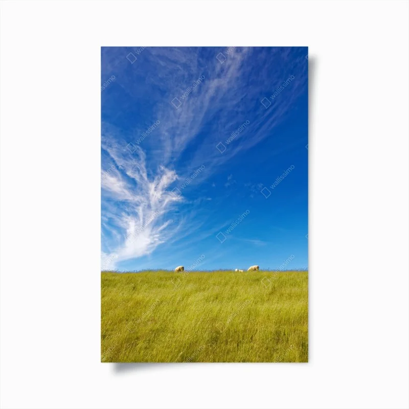 Poster serene meadow under blue sky ⁕ Wallissimo®