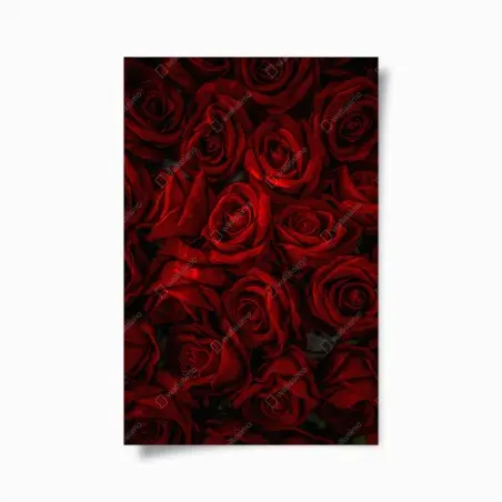 Poster lush red roses close-up • Wallissimo®