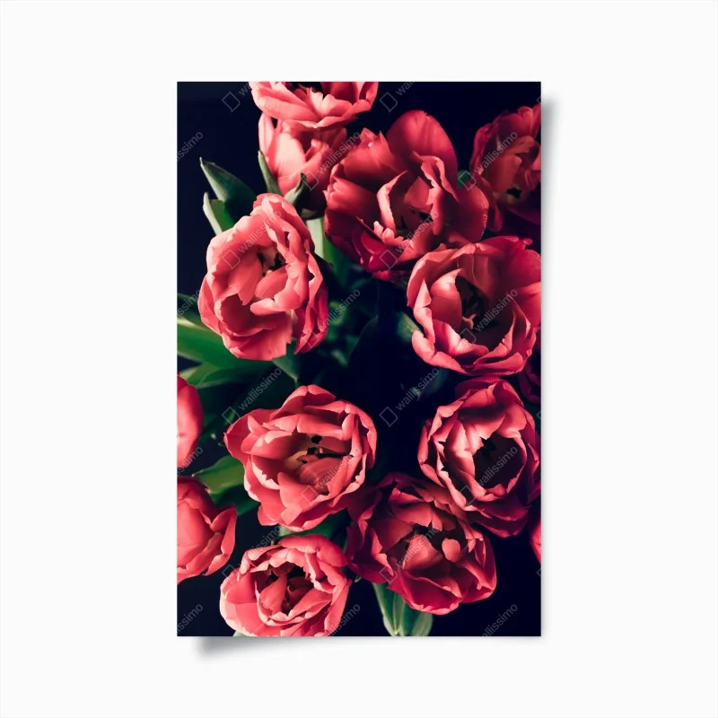 Poster moody pink tulip bouquet