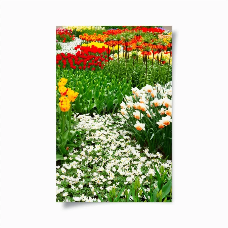 Poster vibrant spring flower garden