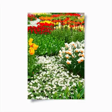 Poster vibrant spring flower garden • Wallissimo®