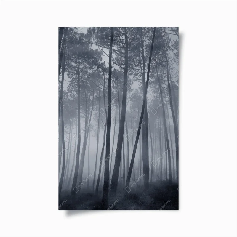 Poster misty pine forest at night