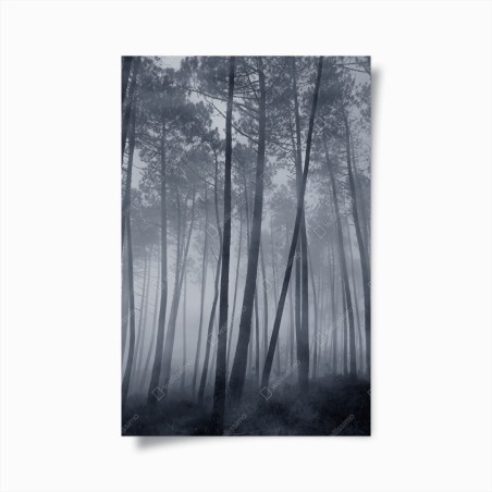 Poster misty pine forest at night • Wallissimo®