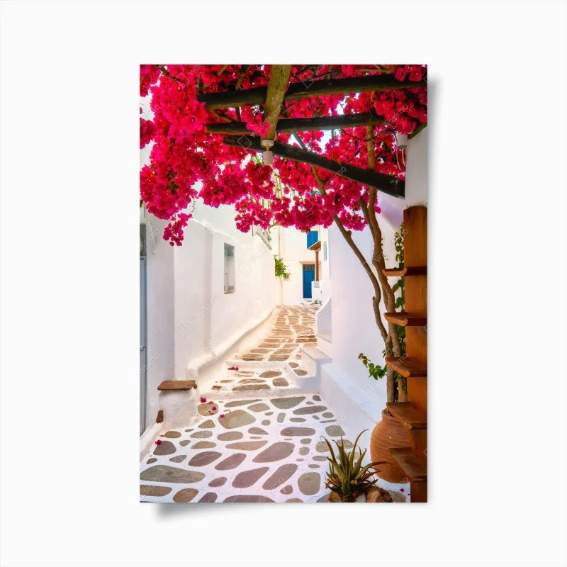 Poster sunlit Greek alley with bougainvillea