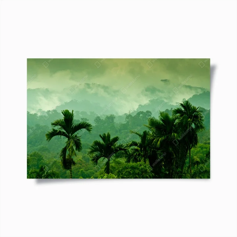 Poster misty tropical jungle landscape