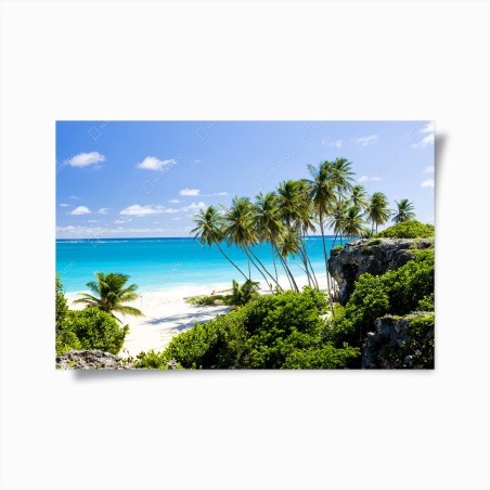 Poster Bottom Bay palm beach, Barbados • Wallissimo®