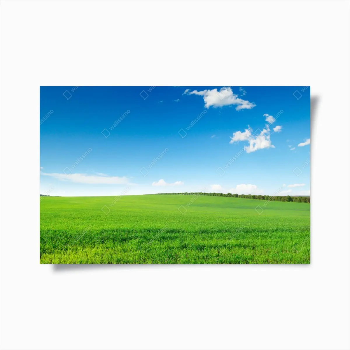 Poster serene green meadow under blue sky • Wallissimo® Poster serene green meadow under blue sky • Wallissimo®