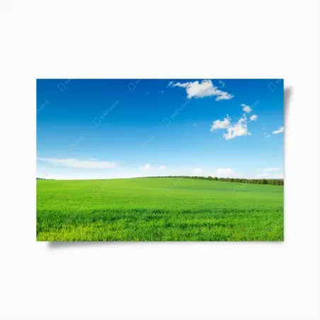 Poster serene green meadow under blue sky • Wallissimo®