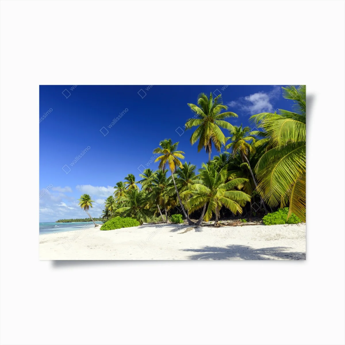 Poster serene Punta Cana tropical beach • Wallissimo® Poster serene Punta Cana tropical beach • Wallissimo®
