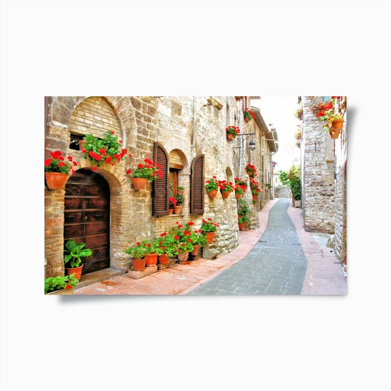 Poster sunlit stone alley with red geraniums