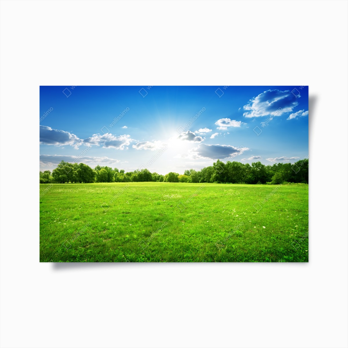 Poster sunlit green meadow landscape • Wallissimo® Poster sunlit green meadow landscape • Wallissimo®