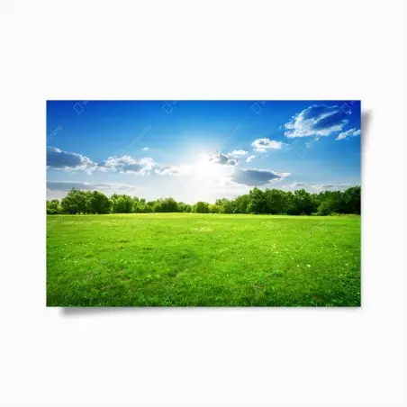 Poster sunlit green meadow landscape • Wallissimo®