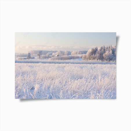 Poster frosted winter meadow at dawn • Wallissimo®