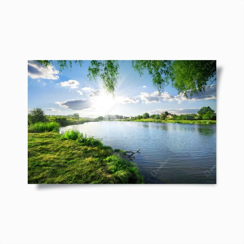Poster sunlit riverside landscape with lush greenery
