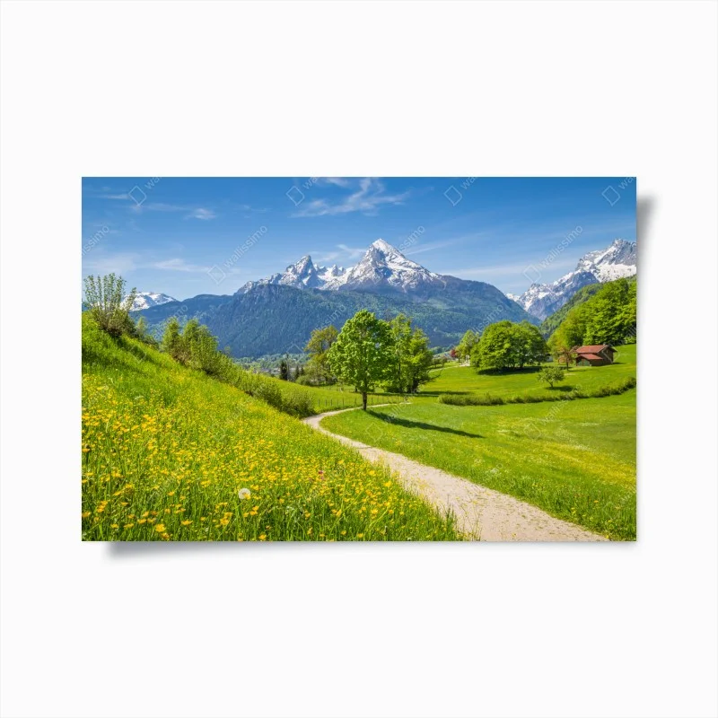 Poster alpine spring meadow with snow-capped peaks