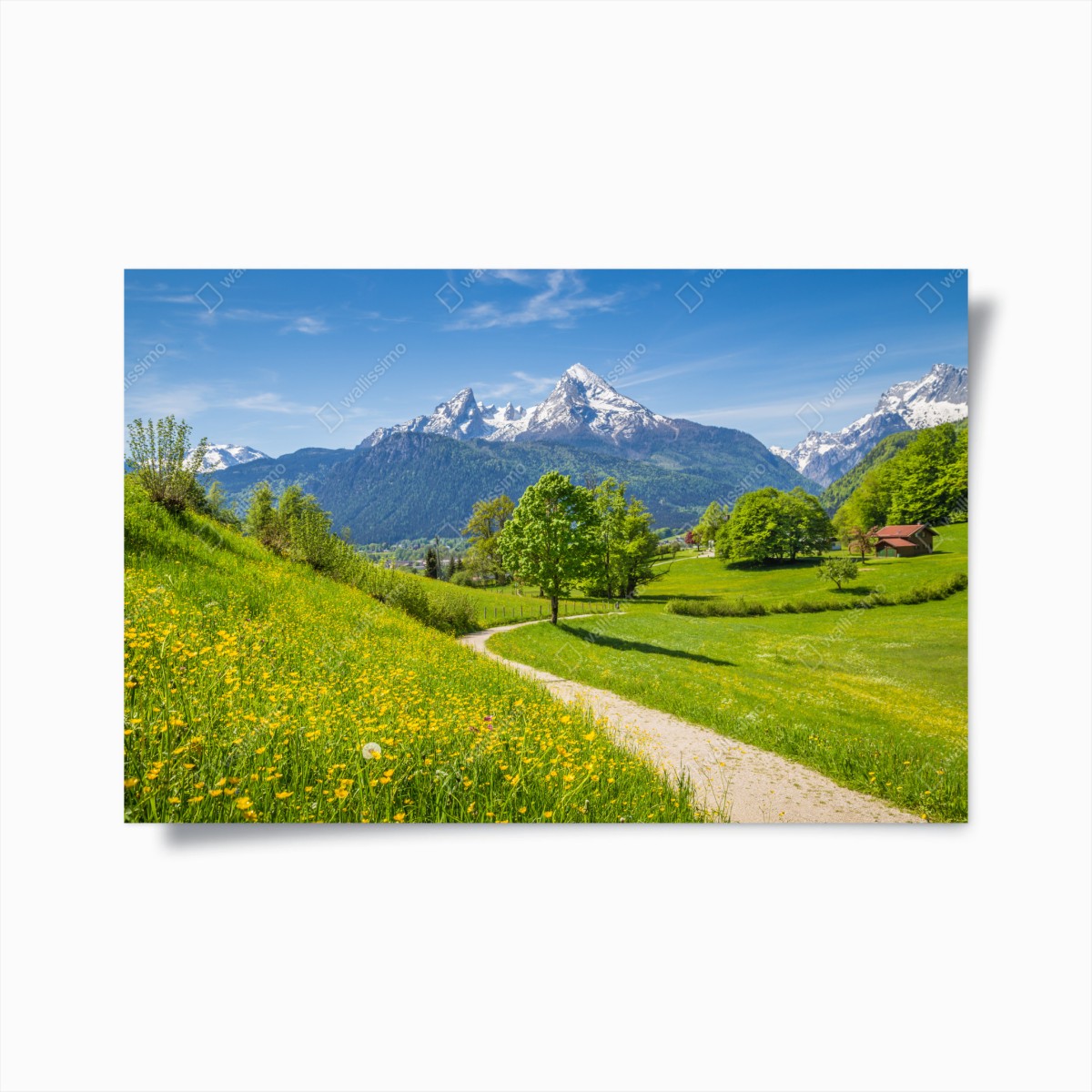 Poster alpine spring meadow with snow-capped peaks • Wallissimo® Poster alpine spring meadow with snow-capped peaks • Wallissimo®