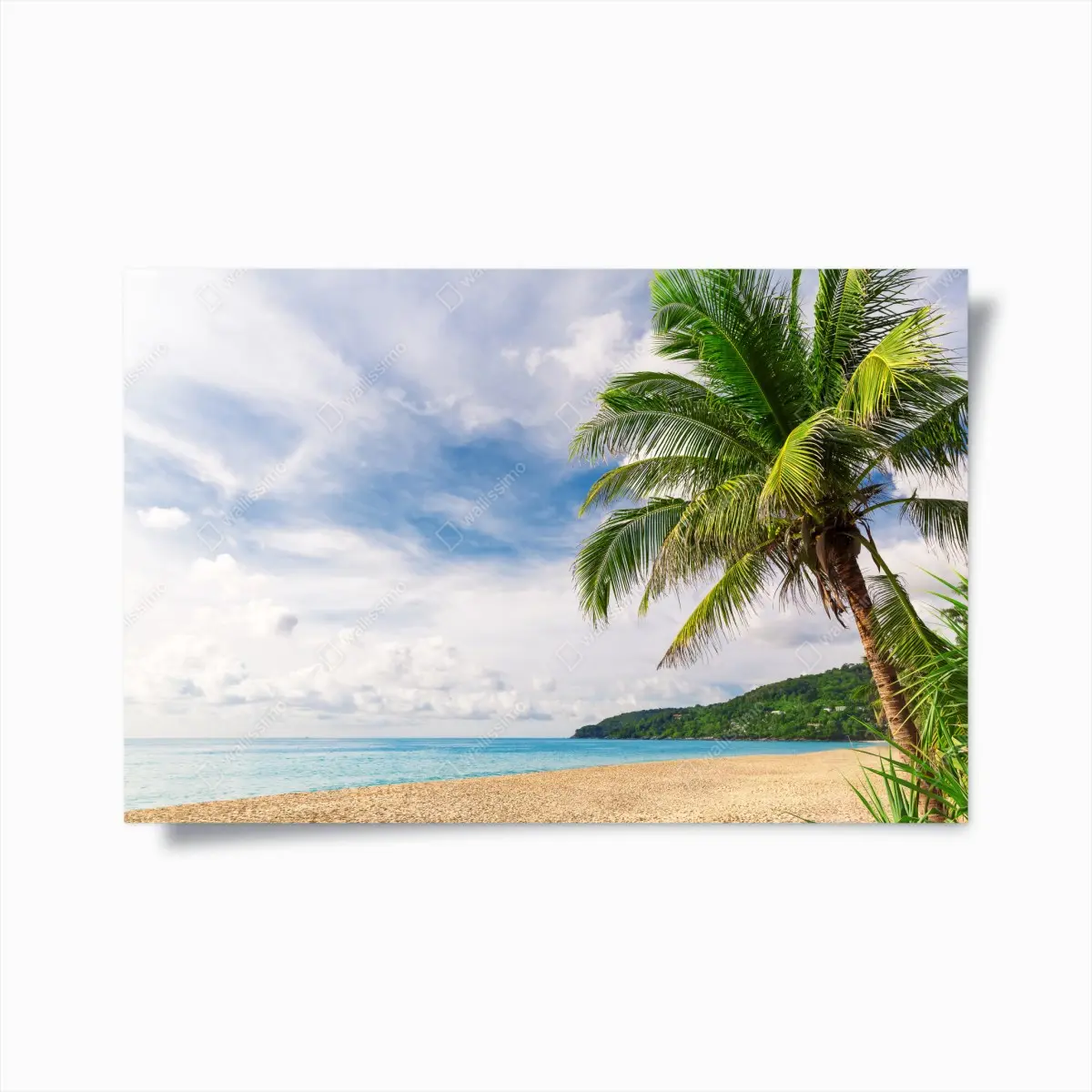Poster tropical beach in Phuket with palm tree • Wallissimo® Poster tropical beach in Phuket with palm tree • Wallissimo®