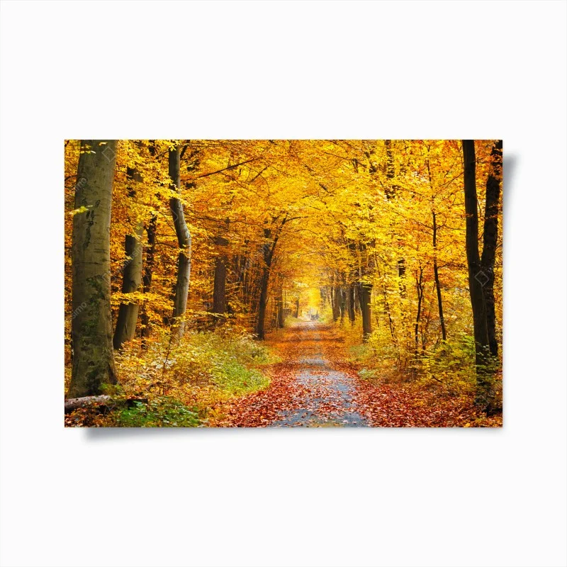 Poster golden autumn forest pathway