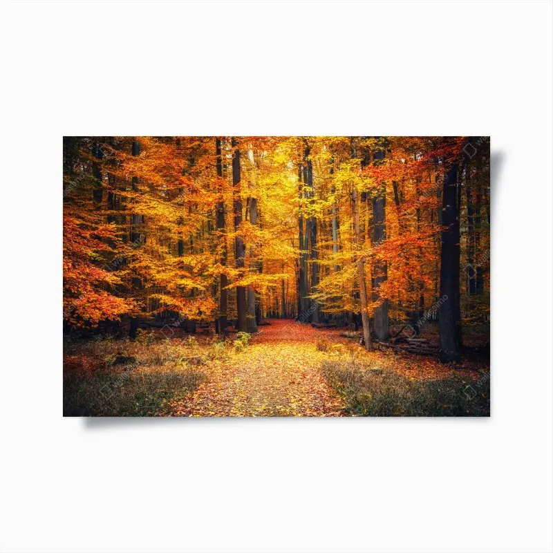 Poster wooden path to the sea, Sylt • Wallissimo®