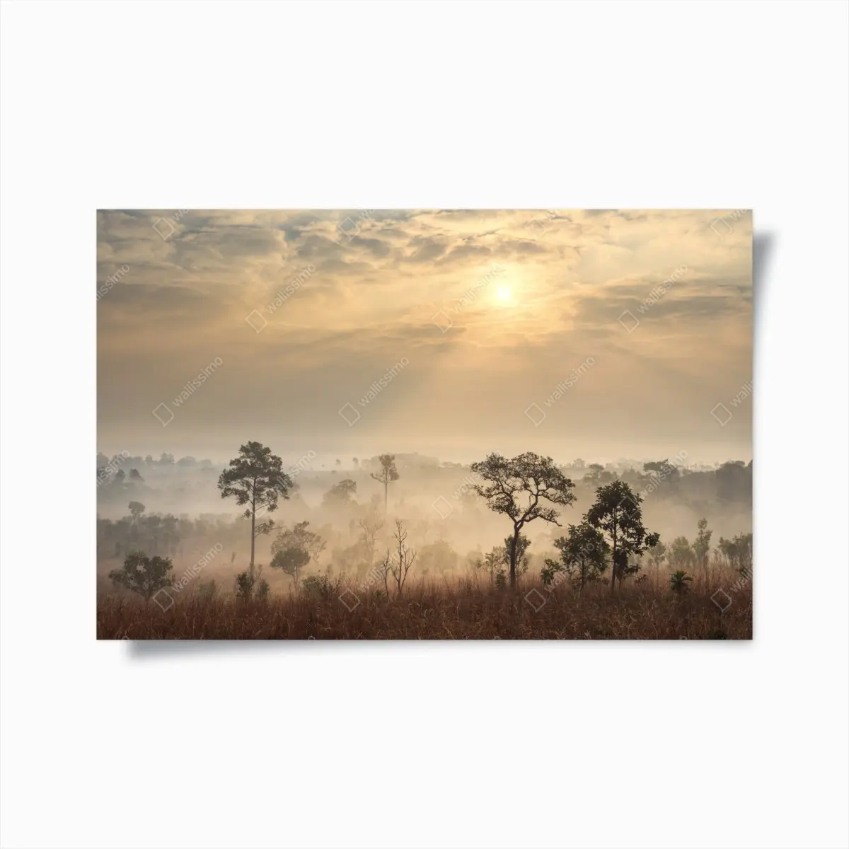 Poster Thailand savanna sunrise • Wallissimo® Poster Thailand savanna sunrise • Wallissimo®
