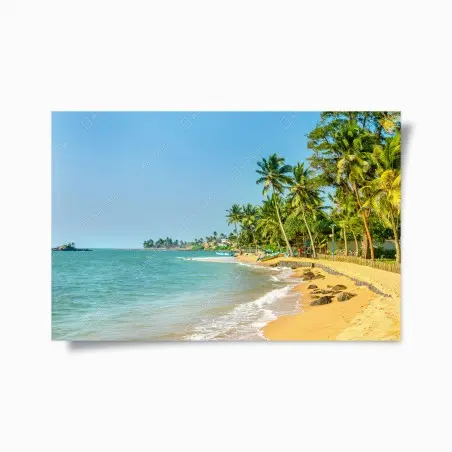 Poster tropical palm beach seascape • Wallissimo®