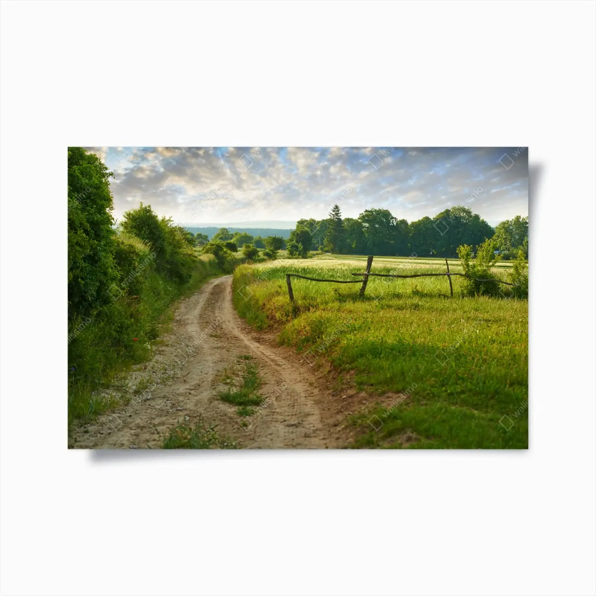 Poster sunlit country lane through green meadows • Wallissimo® Poster sunlit country lane through green meadows • Wallissimo®