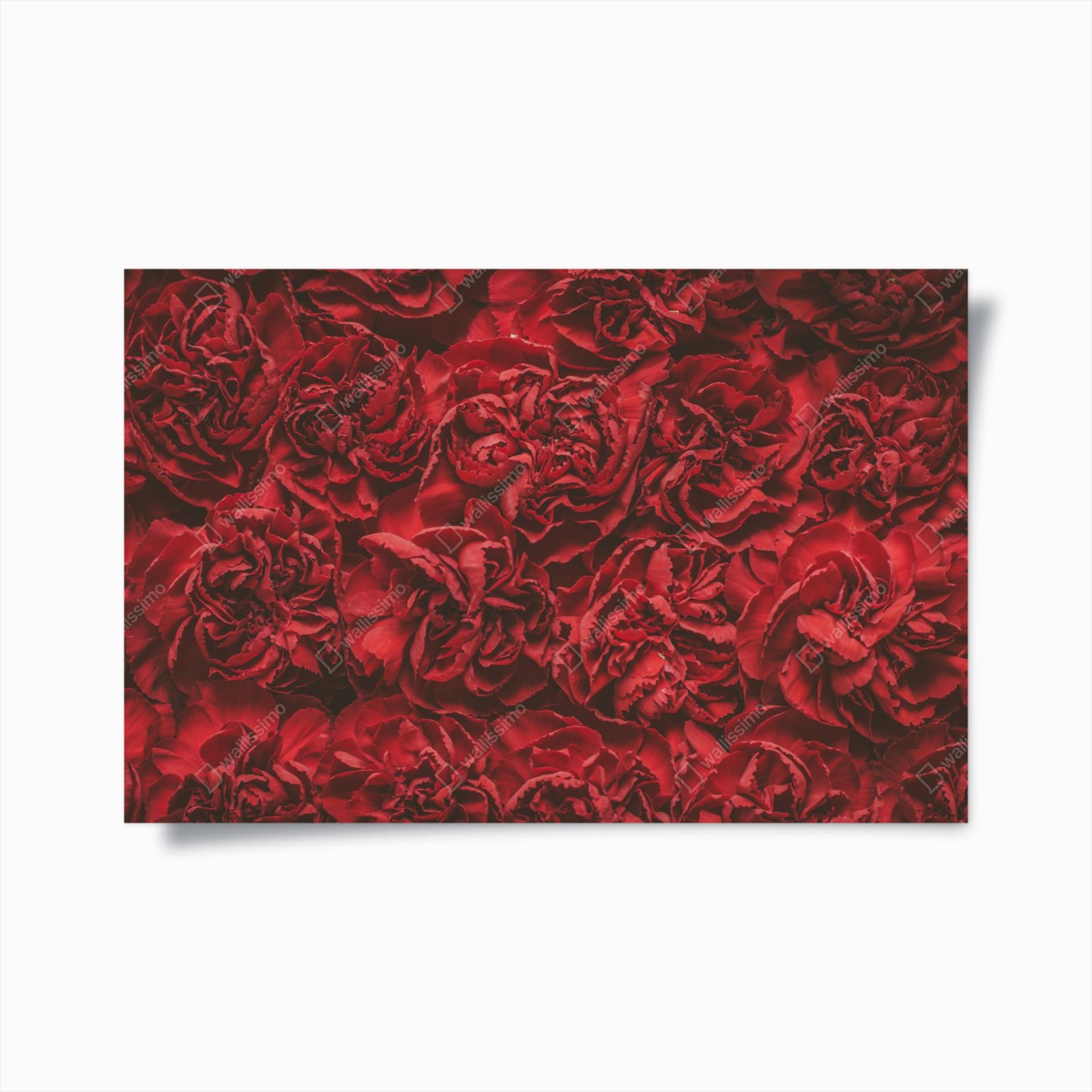 Poster vintage red carnation floral pattern • Wallissimo® Poster vintage red carnation floral pattern • Wallissimo®