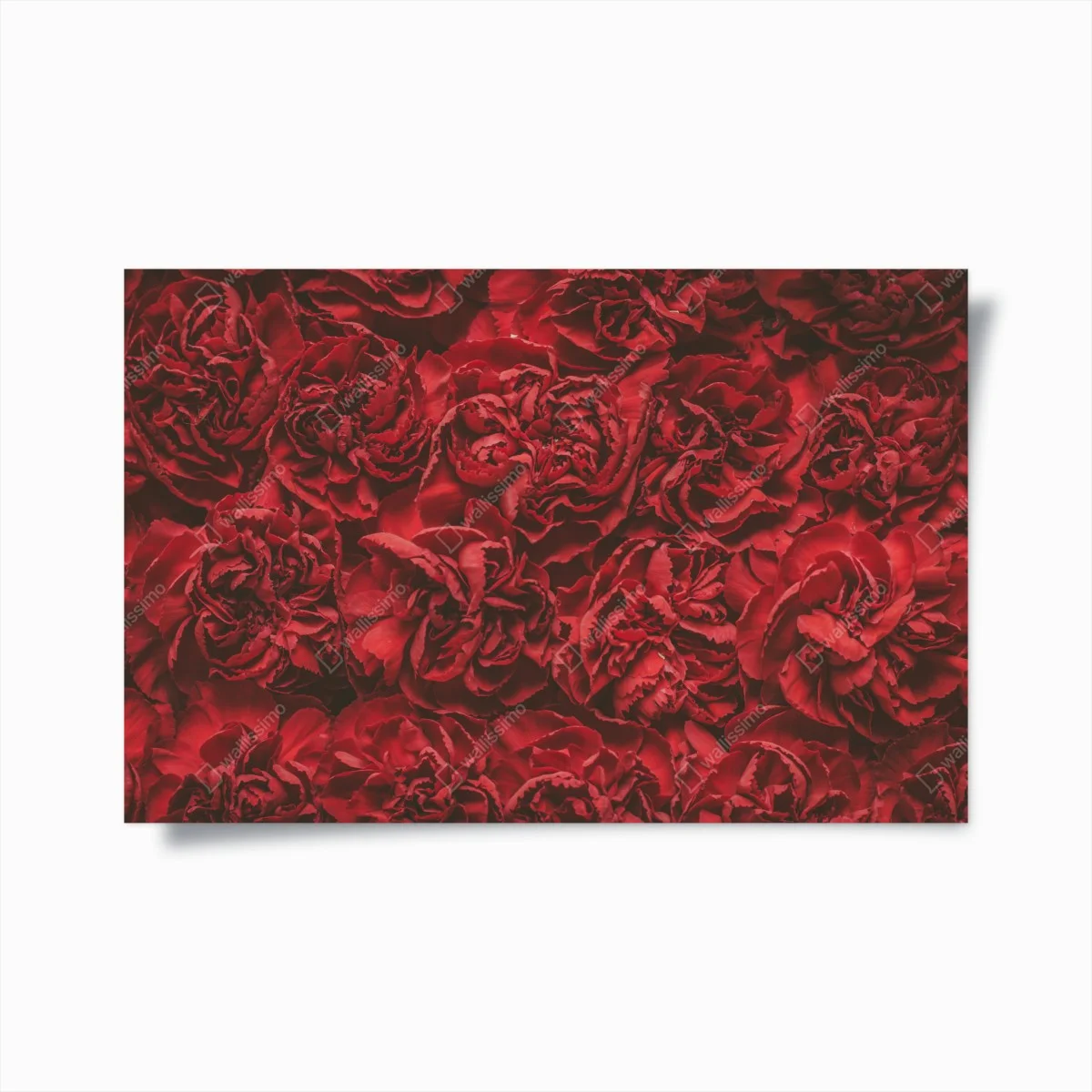 Poster vintage red carnation floral pattern ⁕ Wallissimo® Poster vintage red carnation floral pattern ⁕ Wallissimo®