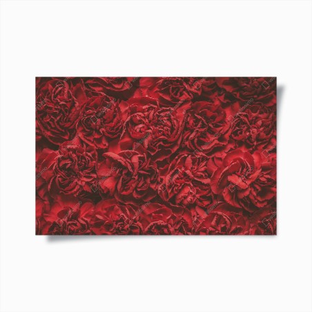 Poster vintage red carnation floral pattern • Wallissimo®
