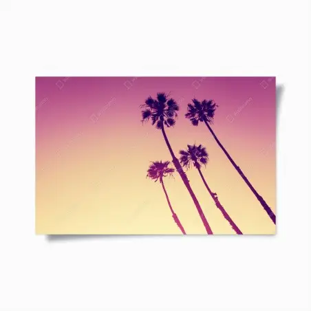 Poster California palms at Sunset Cliffs • Wallissimo®