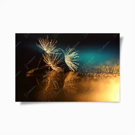 Poster golden dandelion seed reflection • Wallissimo®