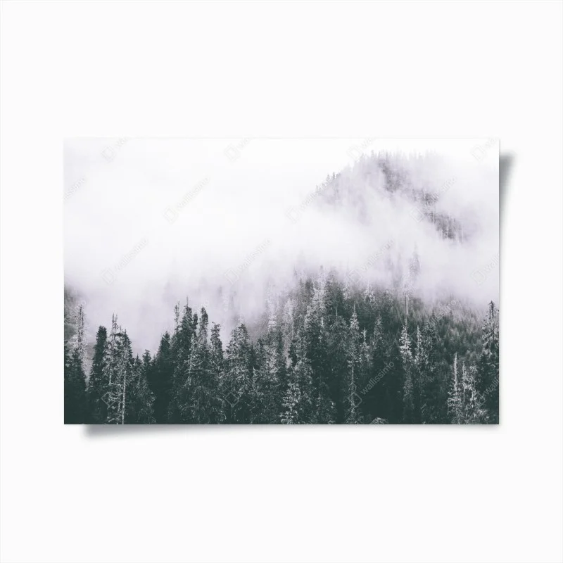 Poster misty evergreen forest in fog