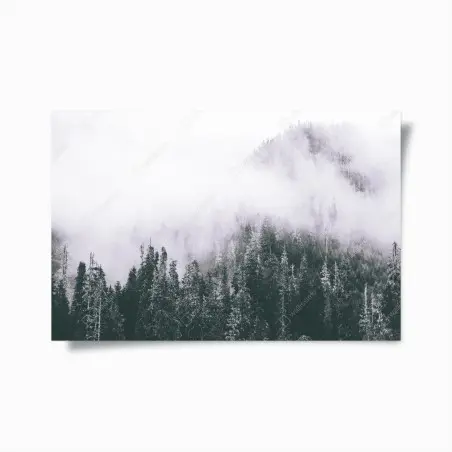 Poster misty evergreen forest in fog • Wallissimo®