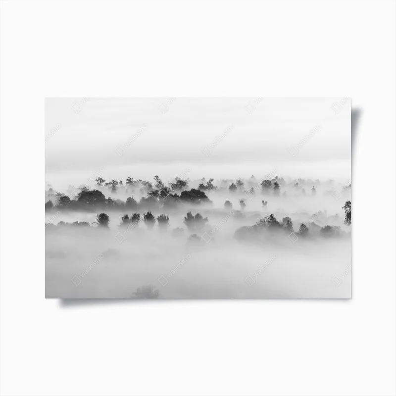 Poster mist-covered forest in monochrome