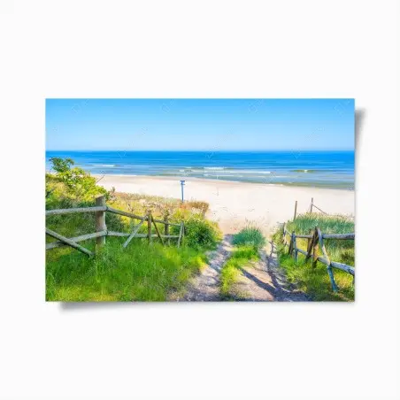 Poster path to Baltic Sea beach • Wallissimo®