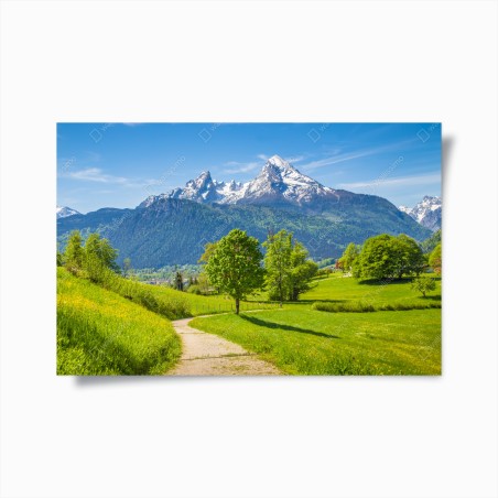 Poster serene alpine meadow with mountain peaks • Wallissimo®