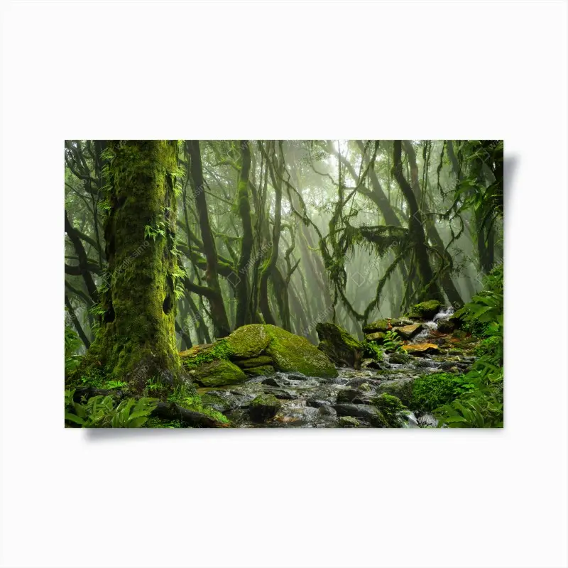 Poster mossy forest stream in morning mist