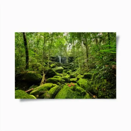 Poster lush mossy waterfall in tropical forest • Wallissimo®