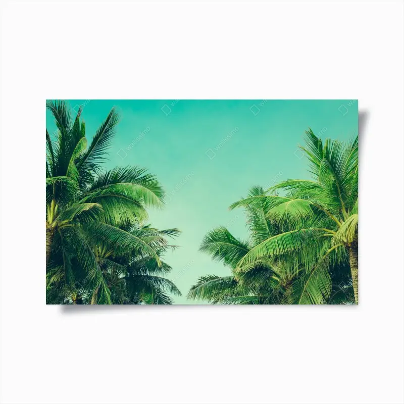 Poster • Wallissimo®