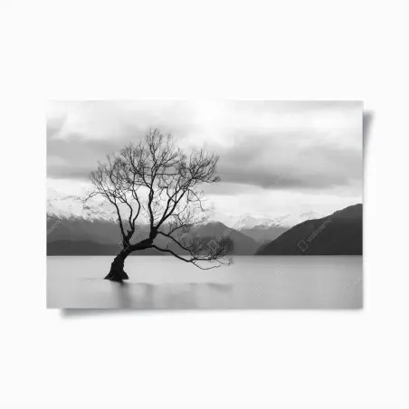 Poster solitary tree in a misty lake • Wallissimo®