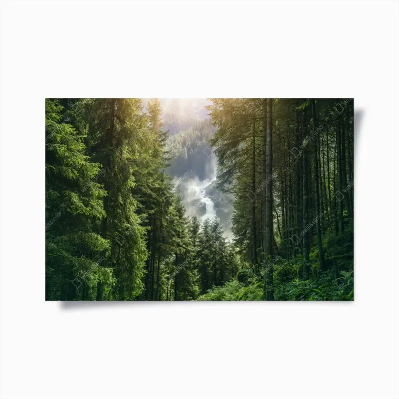 Poster Krimml waterfalls, lush alpine forest