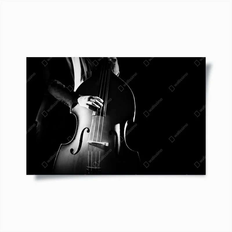 Poster double bass player in dramatic monochrome