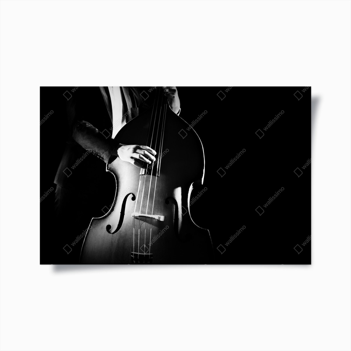 Poster double bass player in dramatic monochrome • Wallissimo® Poster double bass player in dramatic monochrome • Wallissimo®
