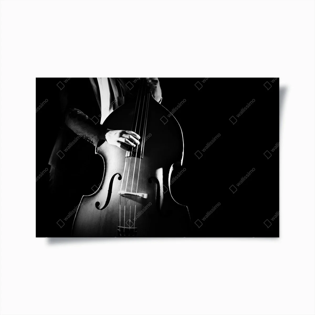 Poster double bass player in dramatic monochrome • Wallissimo® Poster double bass player in dramatic monochrome • Wallissimo®