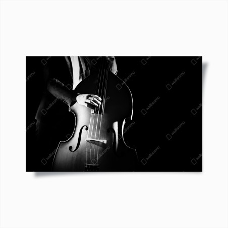 Poster double bass player in dramatic monochrome • Wallissimo®